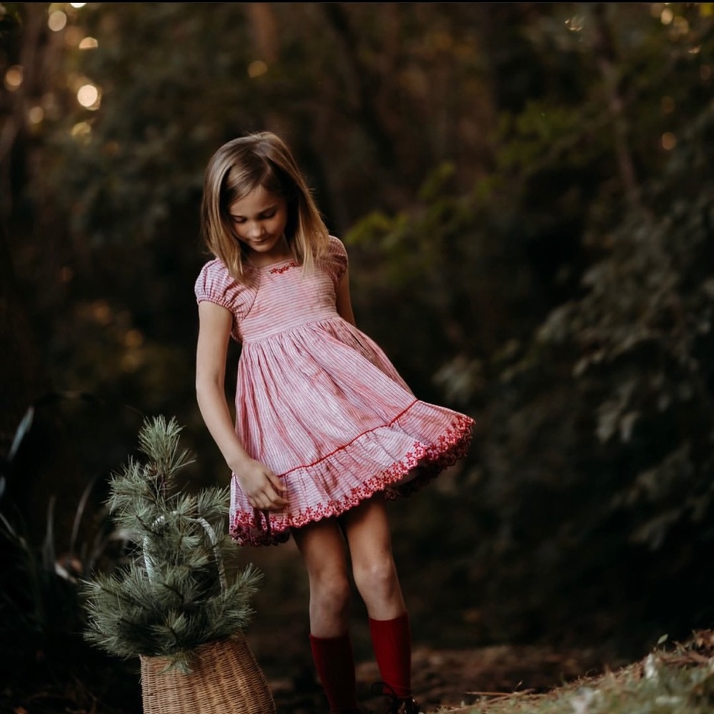 well dressed wolf poinsettia dress